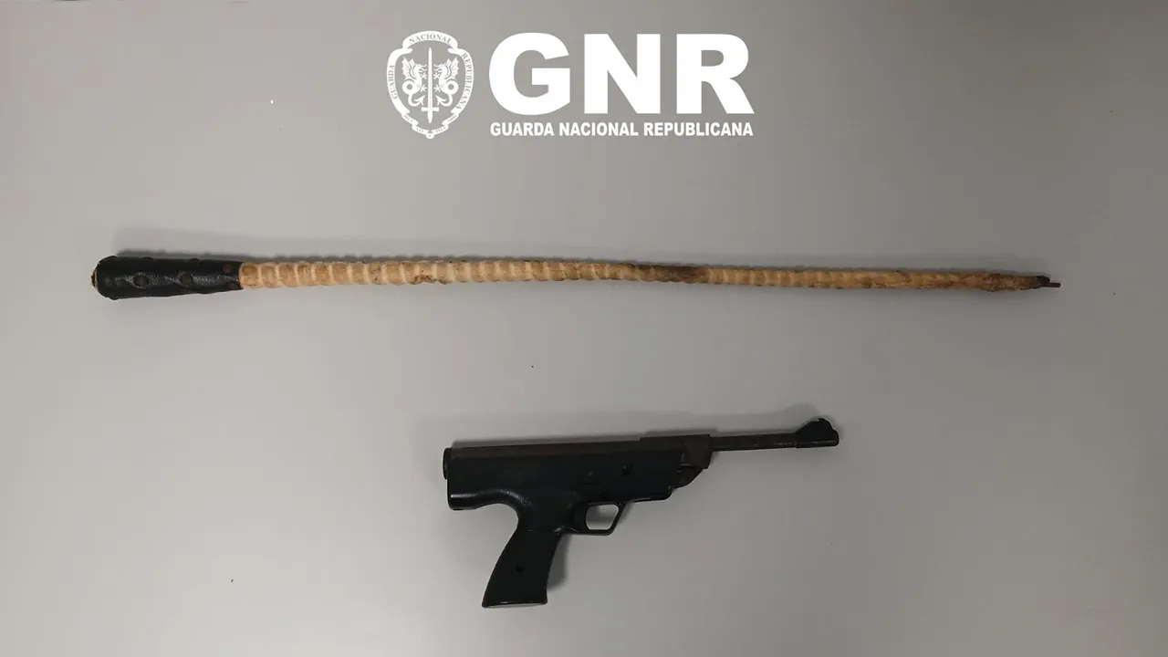 Material apreendido @GNR Leiria