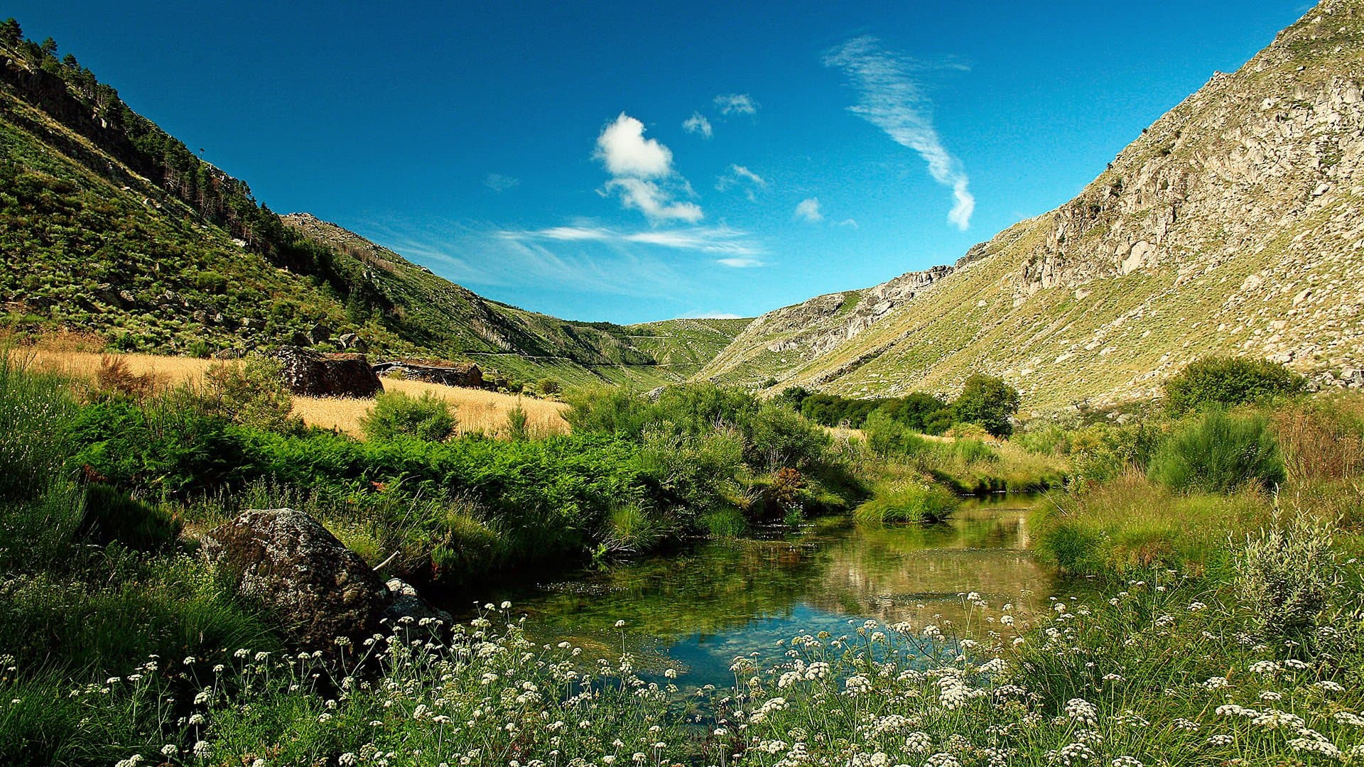 Parque Natural da Serra da Estrela @TCP