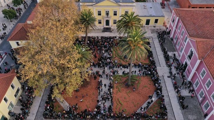 Jardim Stephens @CMMG