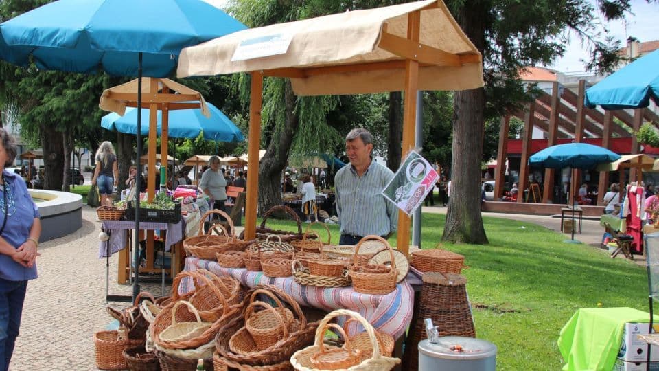 "Os quintais nas praças do pinhal" @CM Oleiros