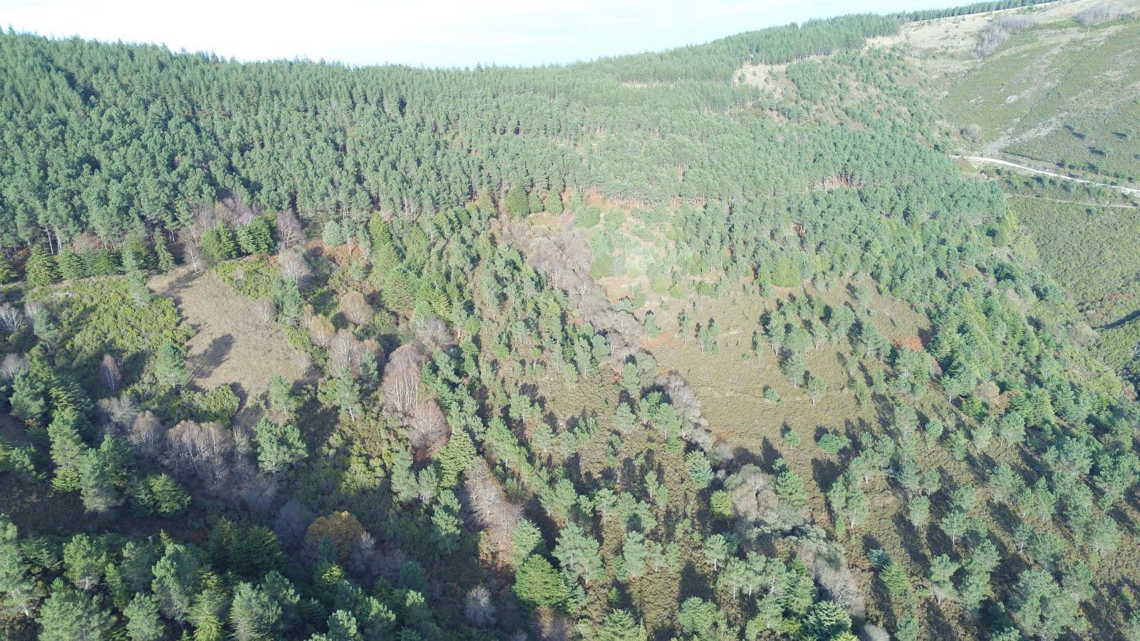 Mosaicos Florestais @CM Castanheira de Pera