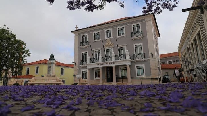 Câmara Municipal da Marinha Grande @CM Marinha Grande