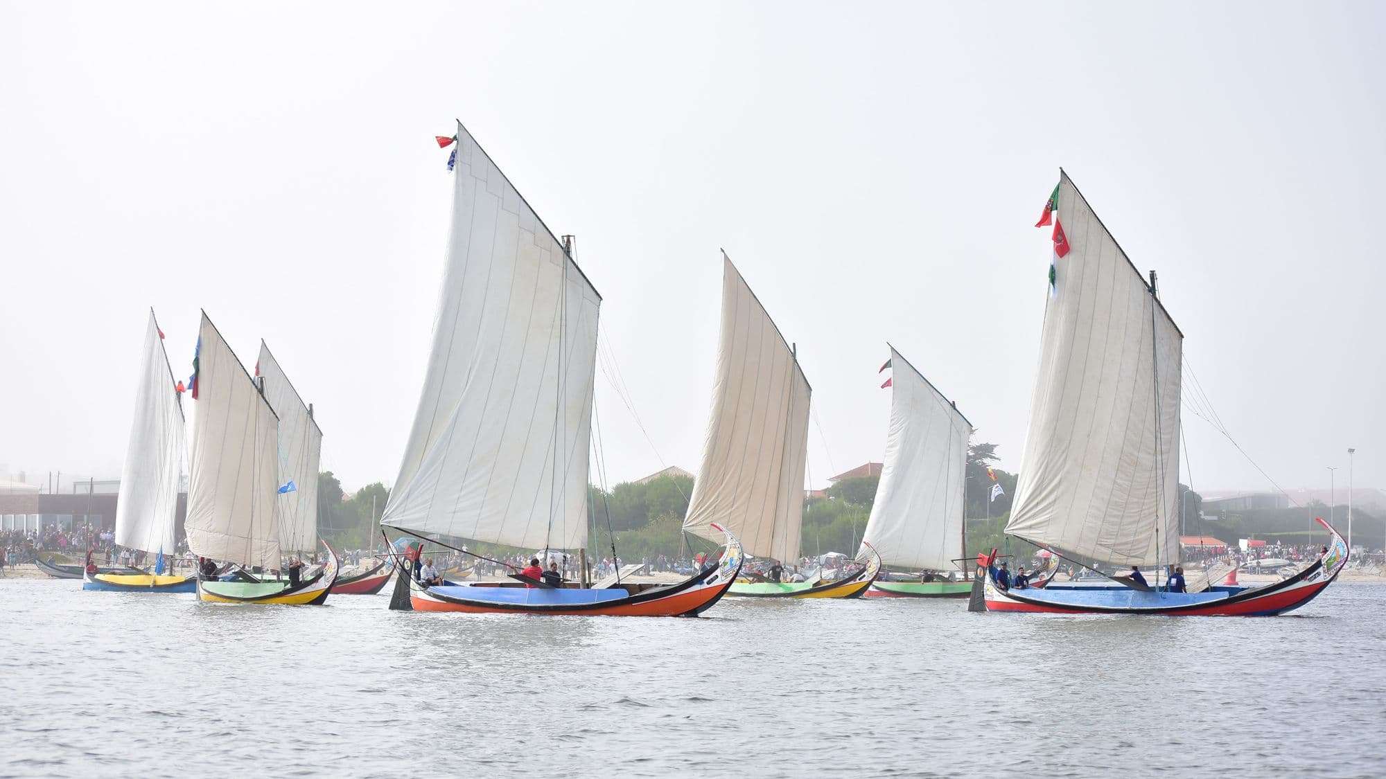 Barcos Moliceiros @CMM