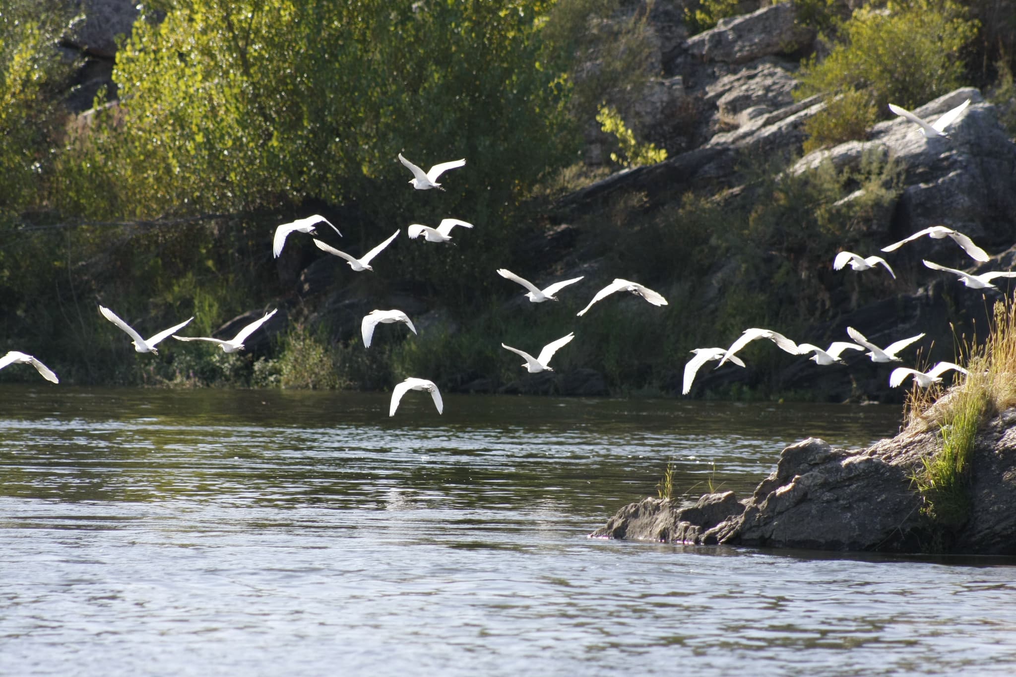 Rio Tejo ©CIM Médio tejo