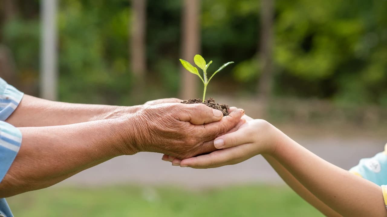 Dia Mundial da Árvore @jcomp freepik