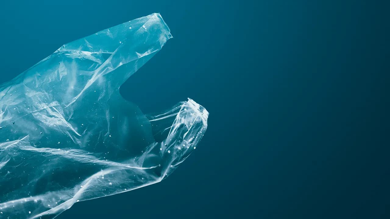 Microplásticos @rawpixel freepik