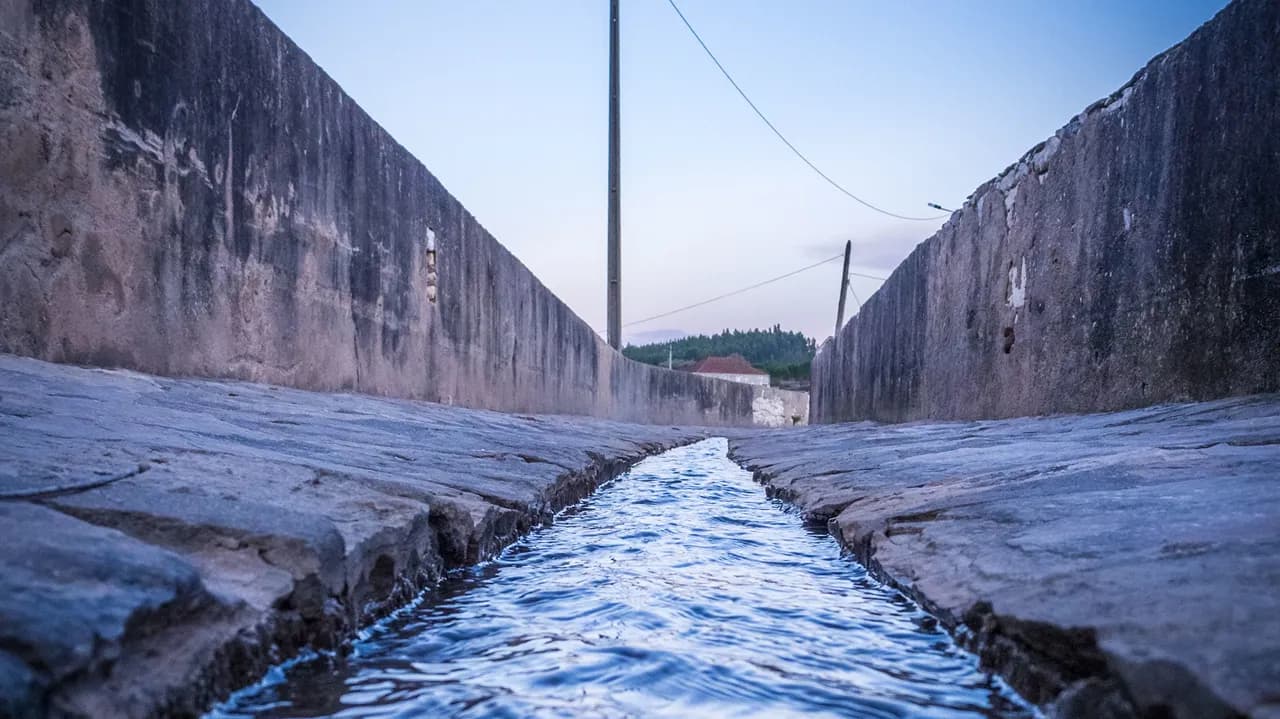 Imagem ilustrativa@wirestock