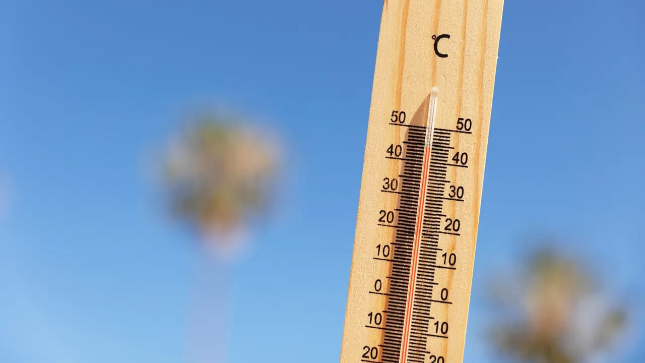 Calor @freepik