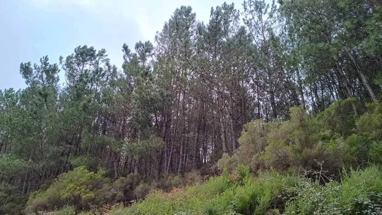 Serra da Lousã @CM Lousã