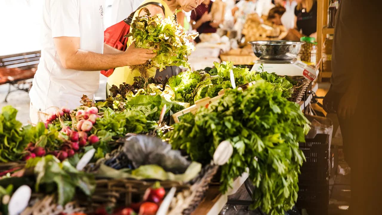 Imagem ilustrativa @freepik