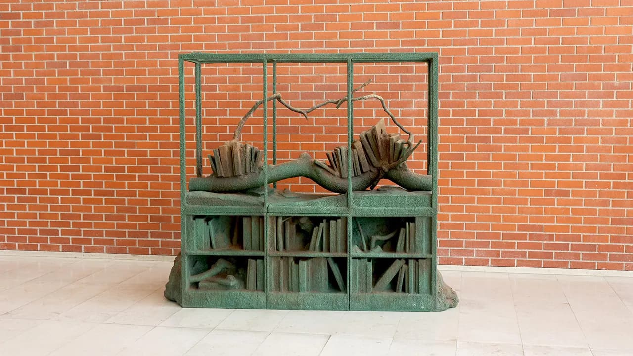 Colecao Figueiredo Ribeiro na UA @Universidade de Aveiro