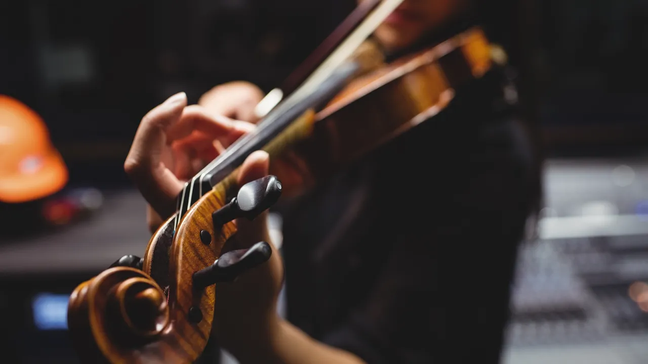 Violino @wavebreakmedia_micro
