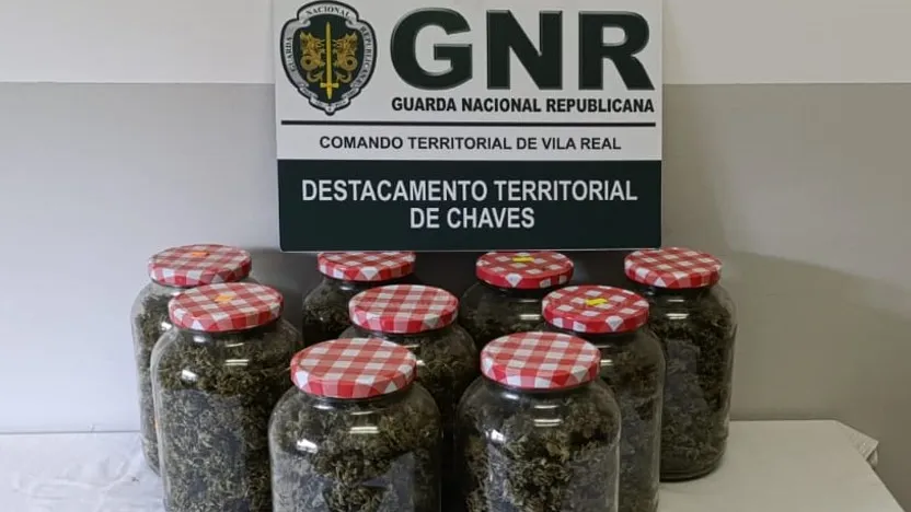 Material apreendido @GNR Vila Real