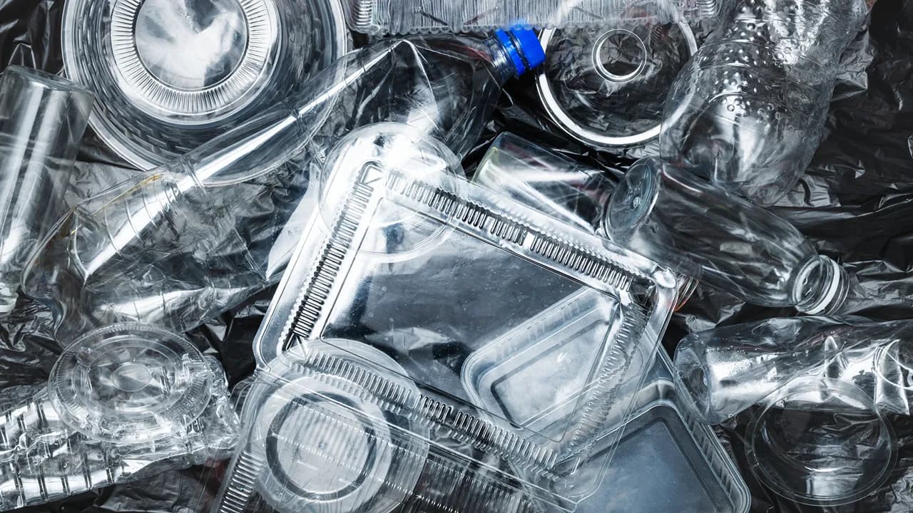 Imagem ilustrativa @rawpixel.com freepik