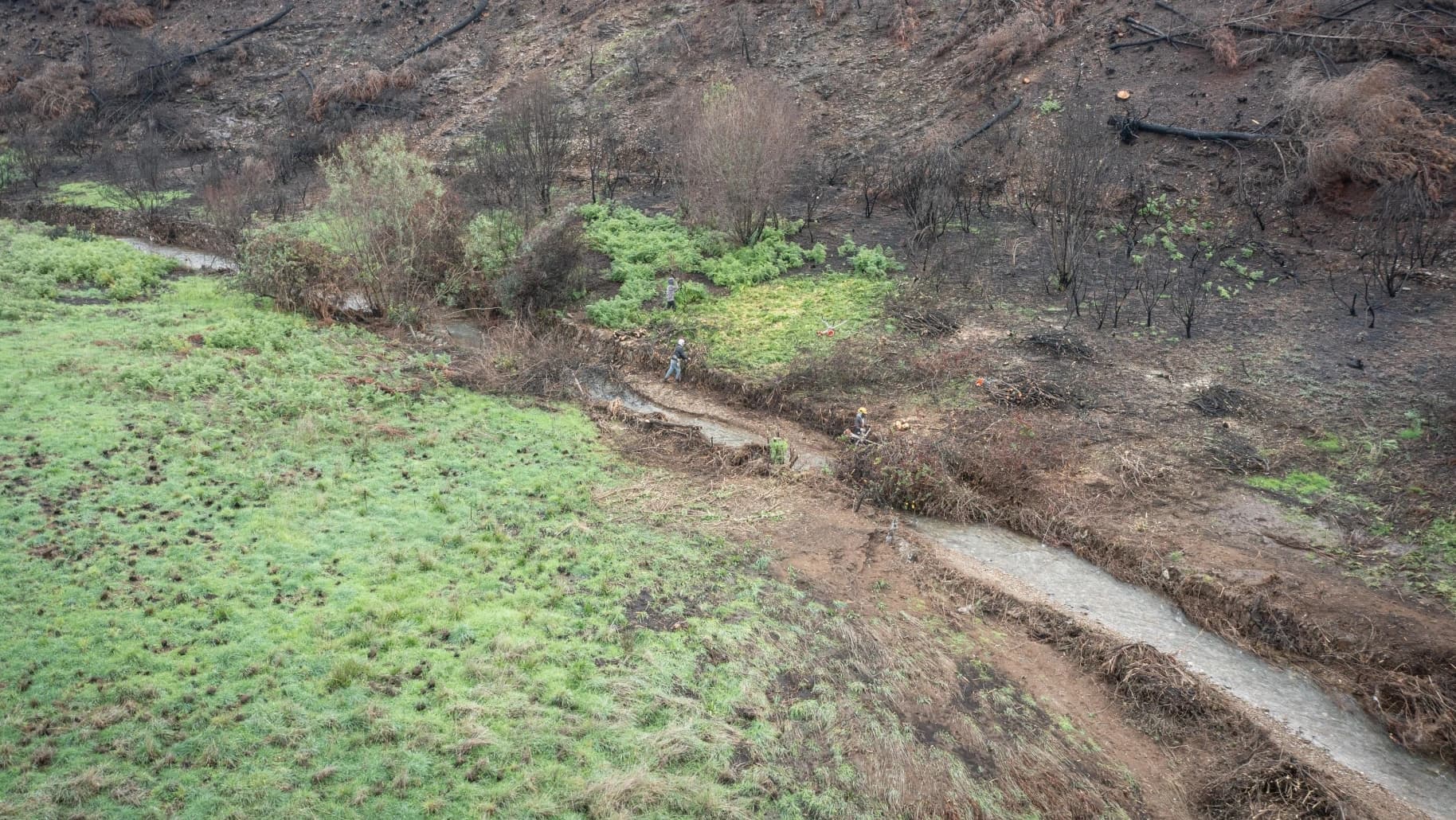 Limpeza das linhas de água @CM Pampilhosa da Serra