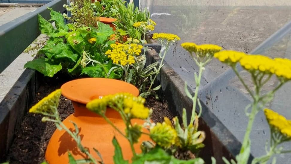 Projeto "São Flores, Coimbra!" @CM Coimbra