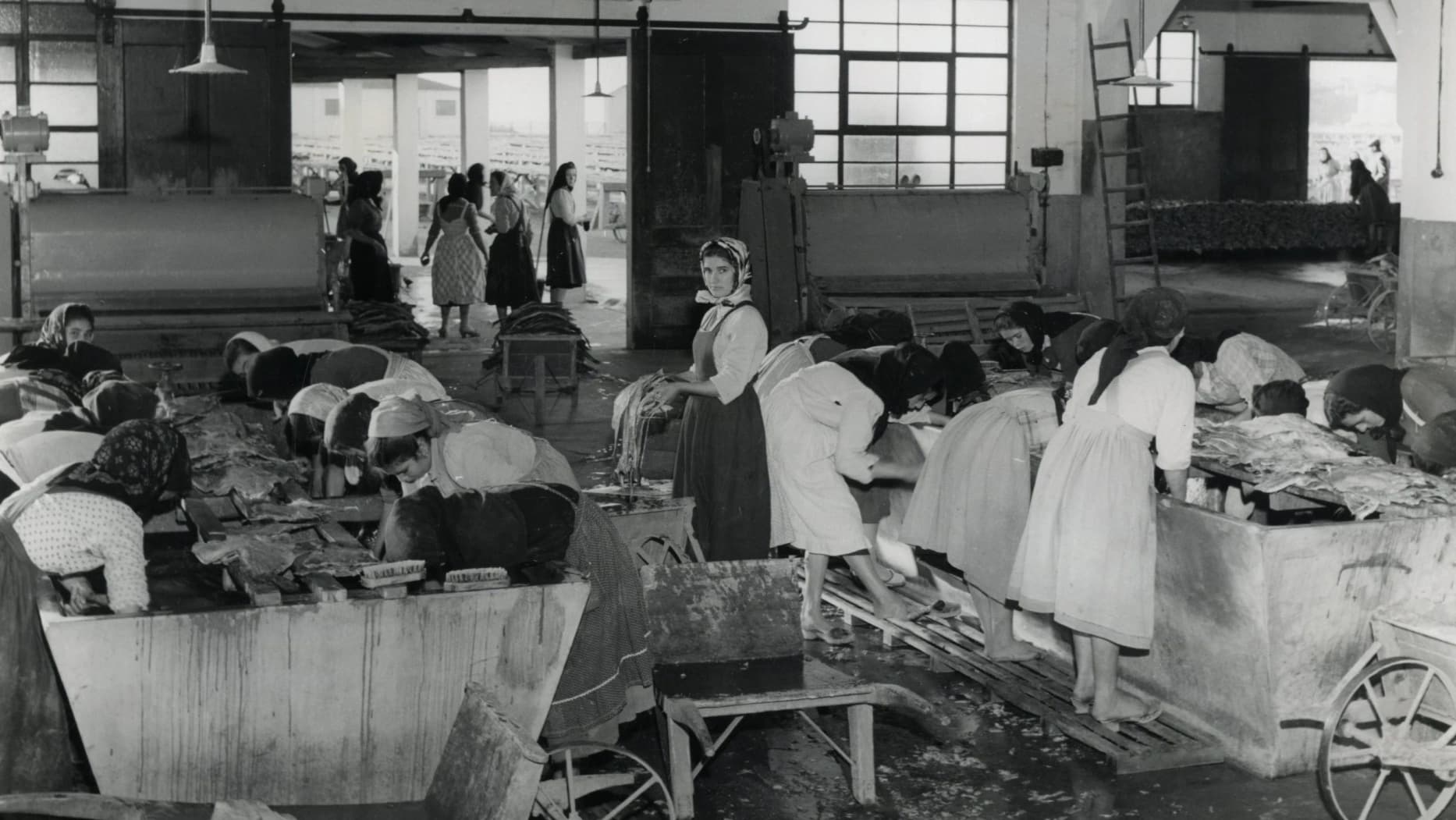 "Mulheres nas secas" @DR