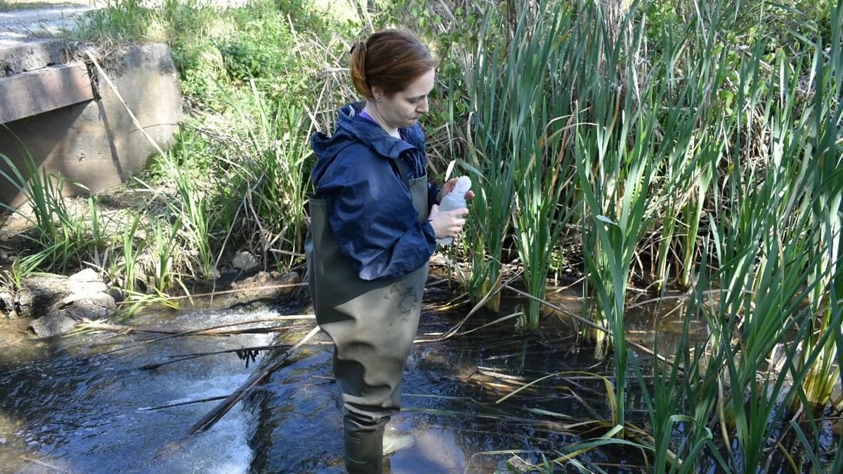 Recolha de amostras de água na Ribeira da Corujeira em Coimbra @FCTUC