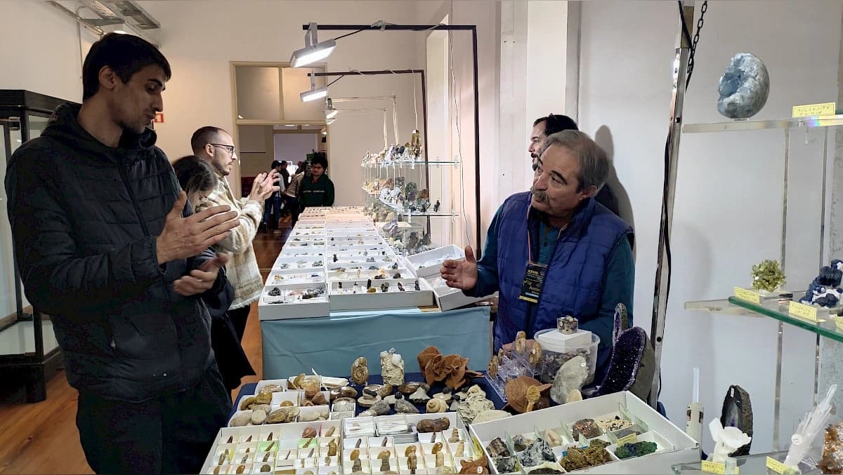 Feira Internacional de Minerais, Gemas e Fósseis da UC @FCTUC