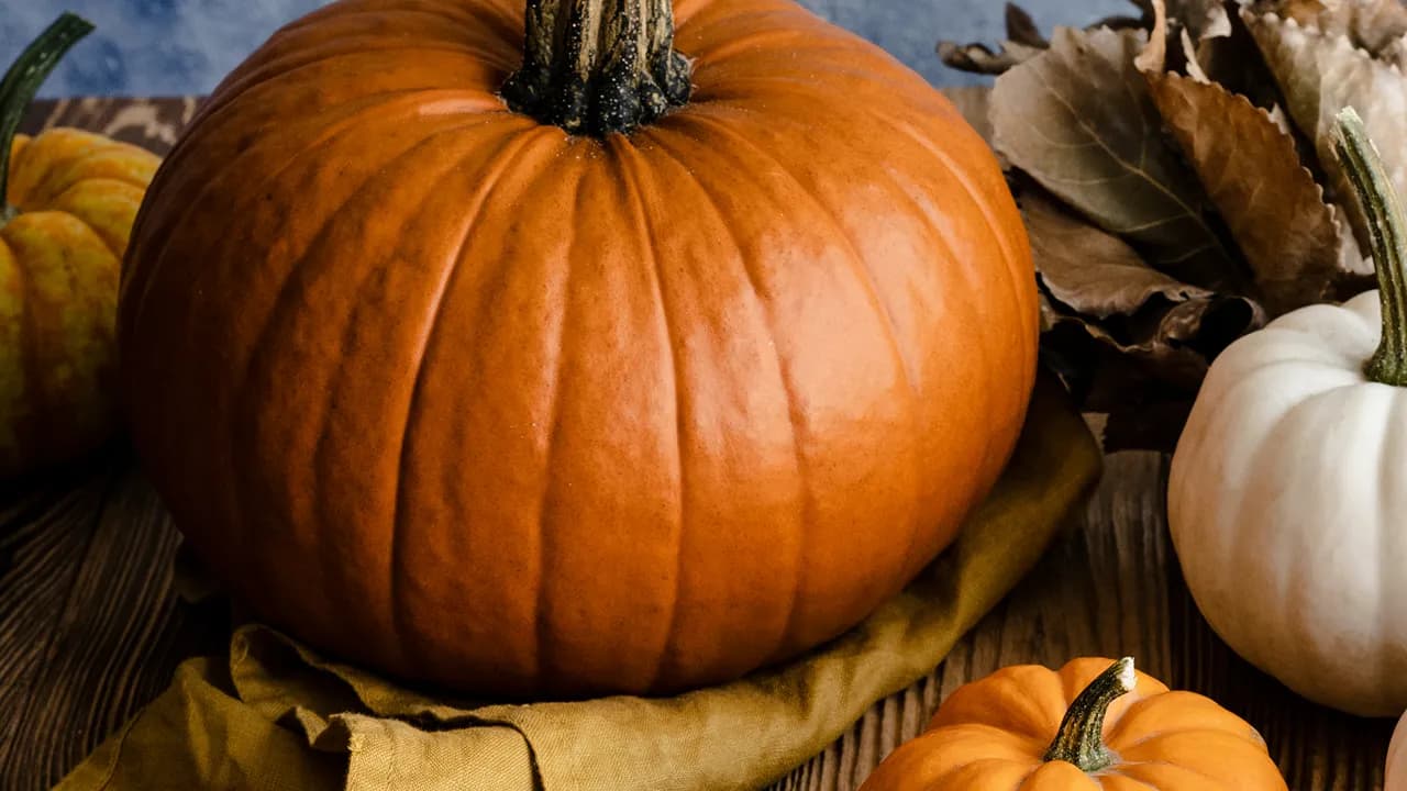 Imagem ilustrativa @rawpixel.com freepik