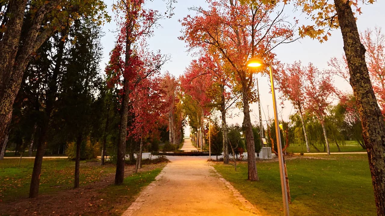 Parque da Cidade @CM Mealhada