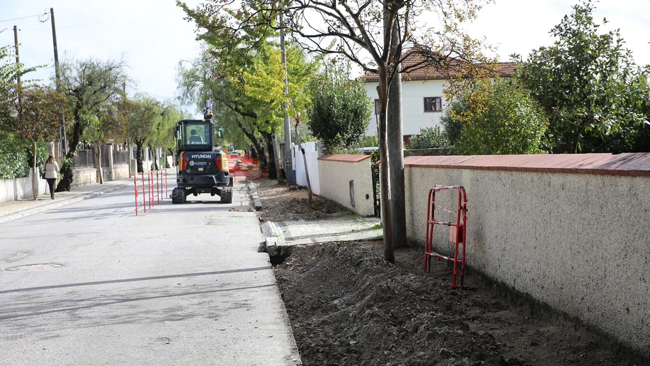 Substituição de árvores na Rua General Humberto Delgado @CM Cantanhede