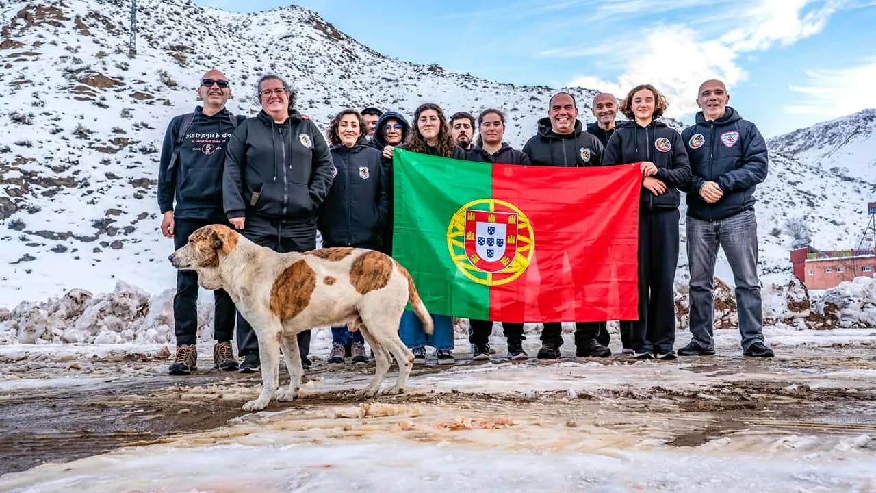 MSD RYU Portugal @DR