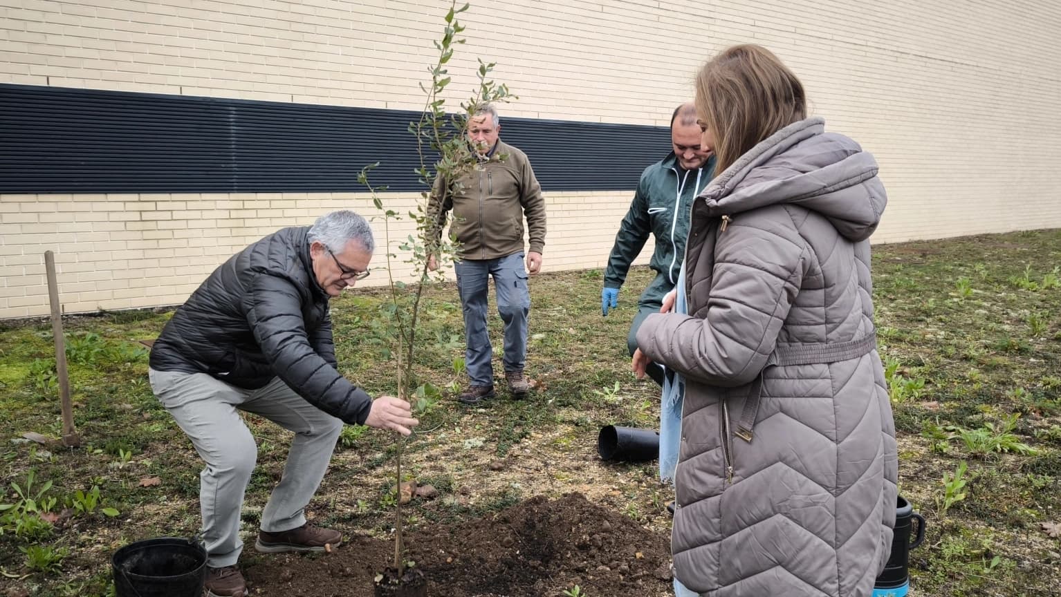 Plantação de árvores e arbustos @CTCV