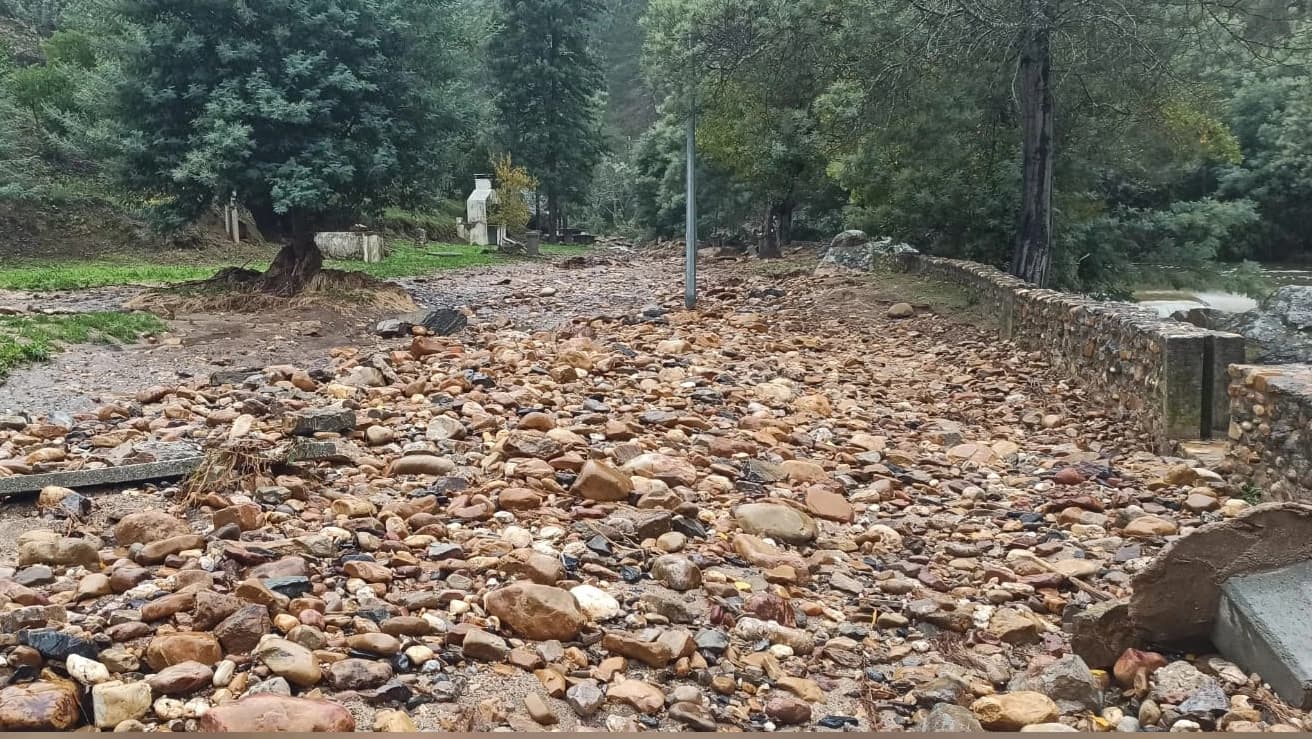 Danos da depressão "Cláudia" @CM Vila de Rei