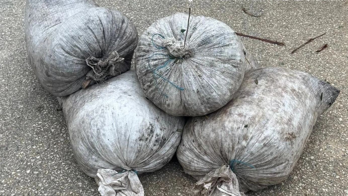 Material apreendido @GNR Évora