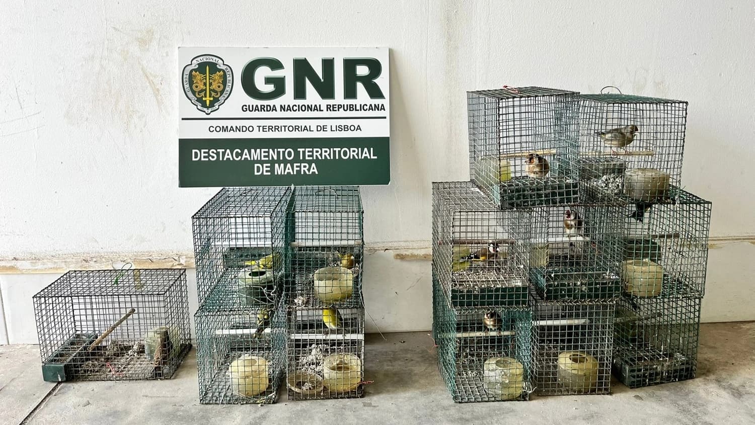Material apreendido @GNR Lisboa