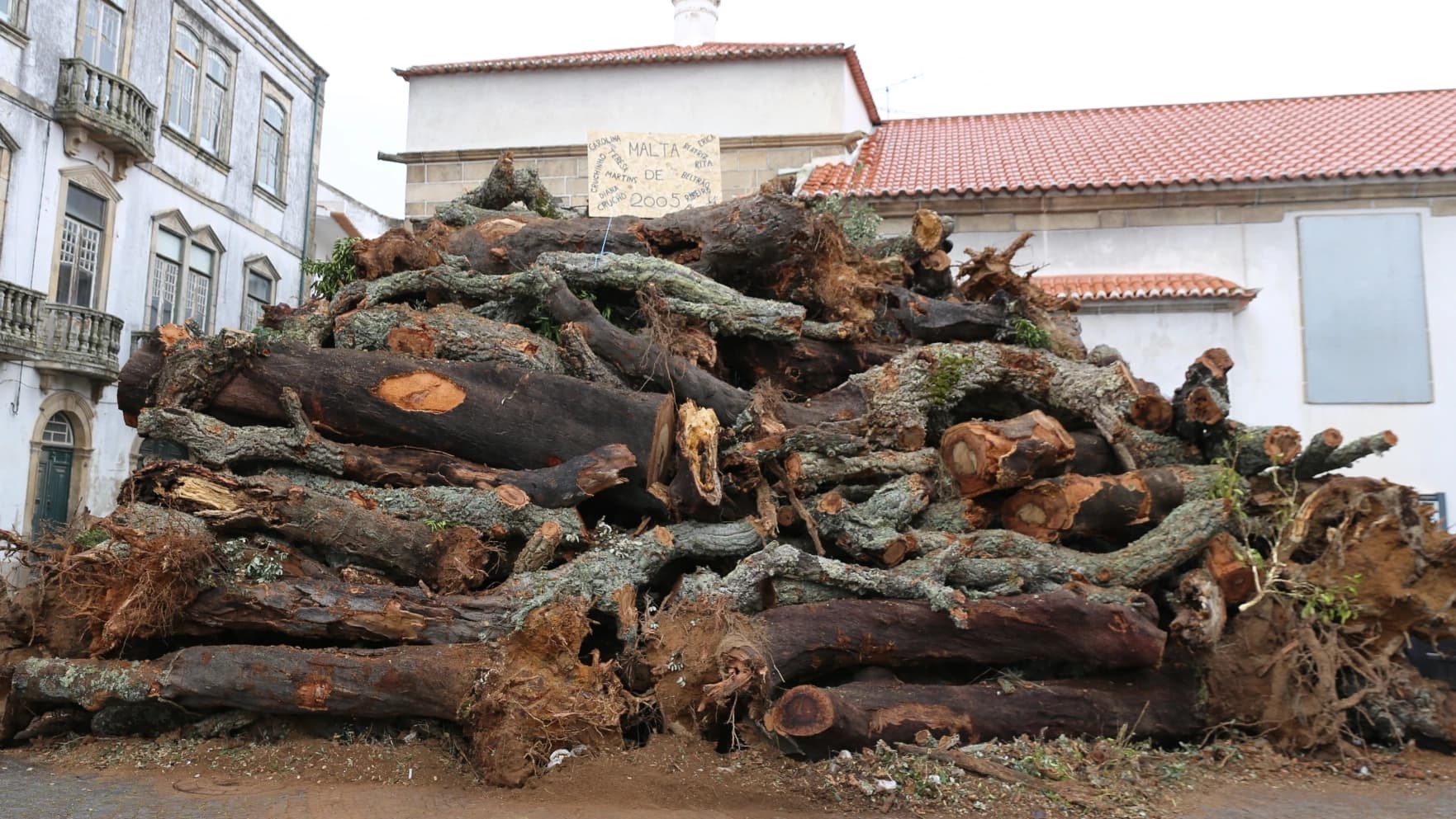 Madeiro @CM Penamacor