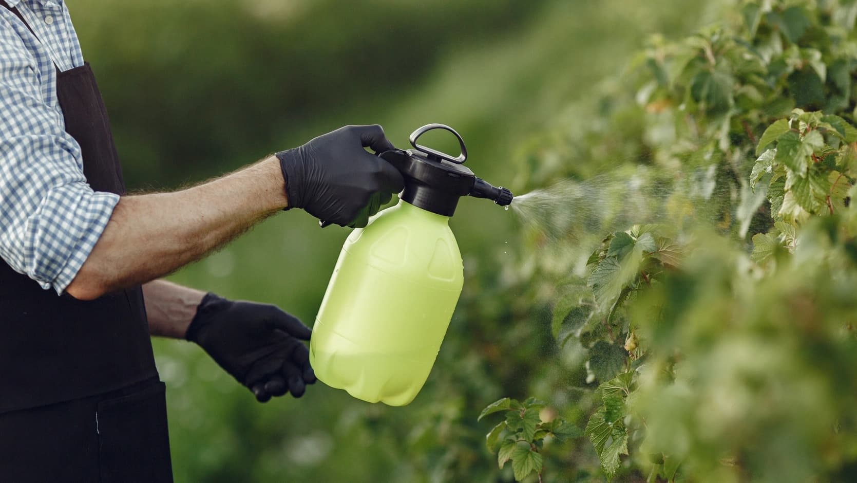 Fitofarmacêuticos @prostooleh freepik