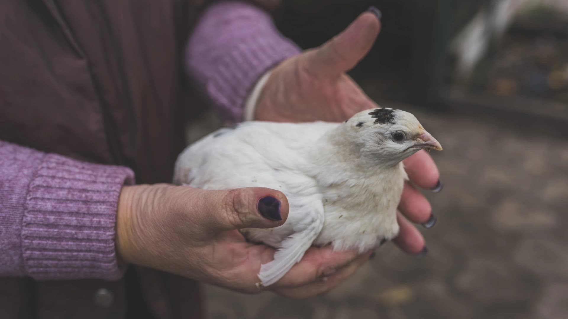 Imagem ilustrativa @freepik