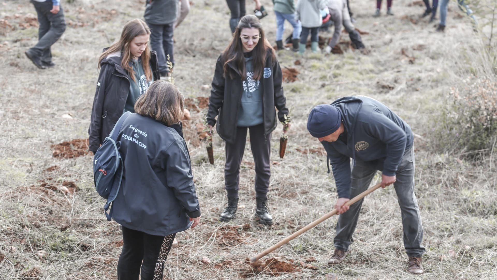 Plantação de sobreiros @CM Penamacor