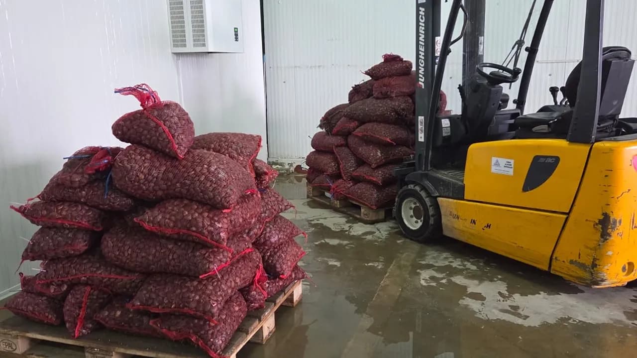 Polícia Marítima e ASAE realizam ação de fiscalização conjunta @AMN