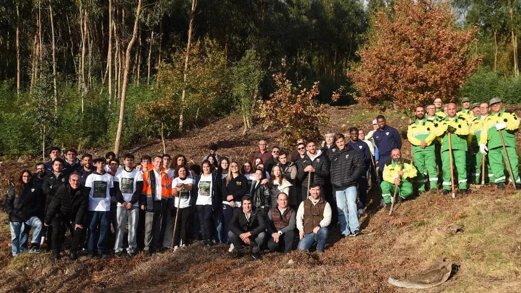 Ação de reflorestação @CIM VDL