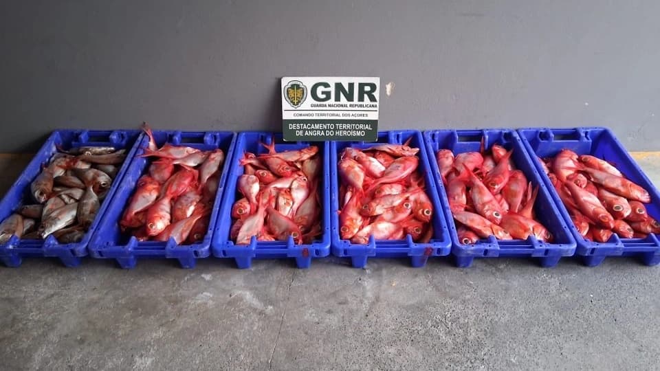 Material apreendido @GNR Açores