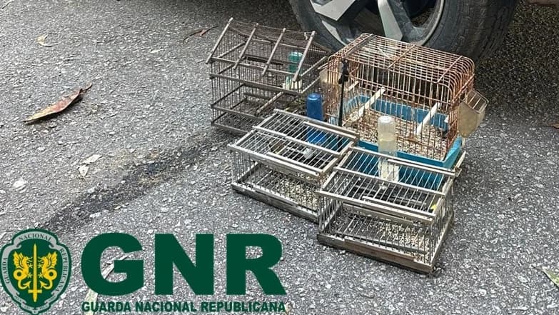 Material apreendido @GNR Porto