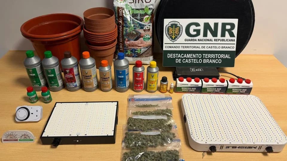 Apreensão da GNR @GNR