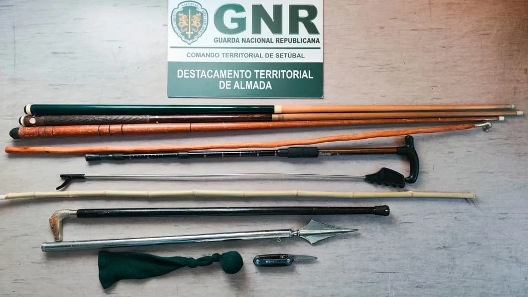 Apreensão da GNR @GNR