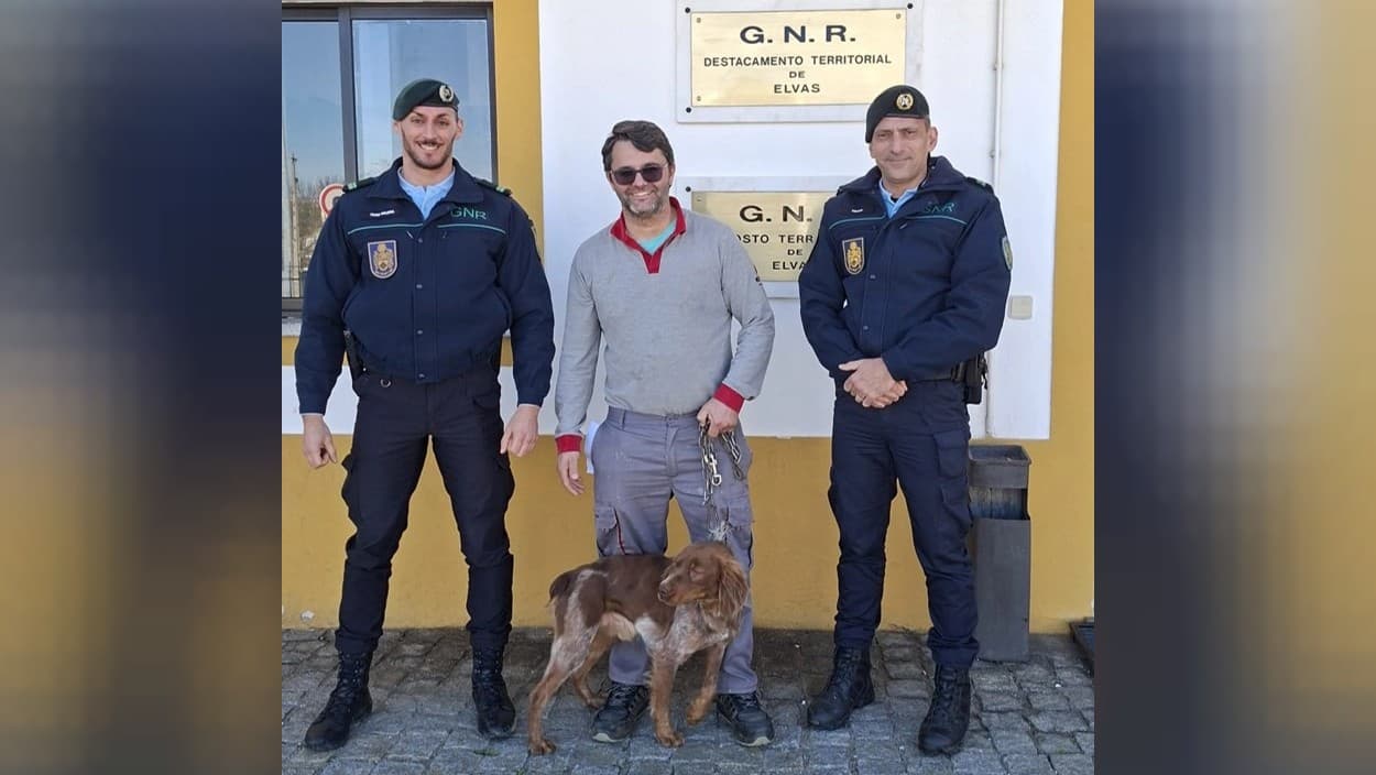 GNR recupera animal de companhia desaparecido @GNR Portalegre