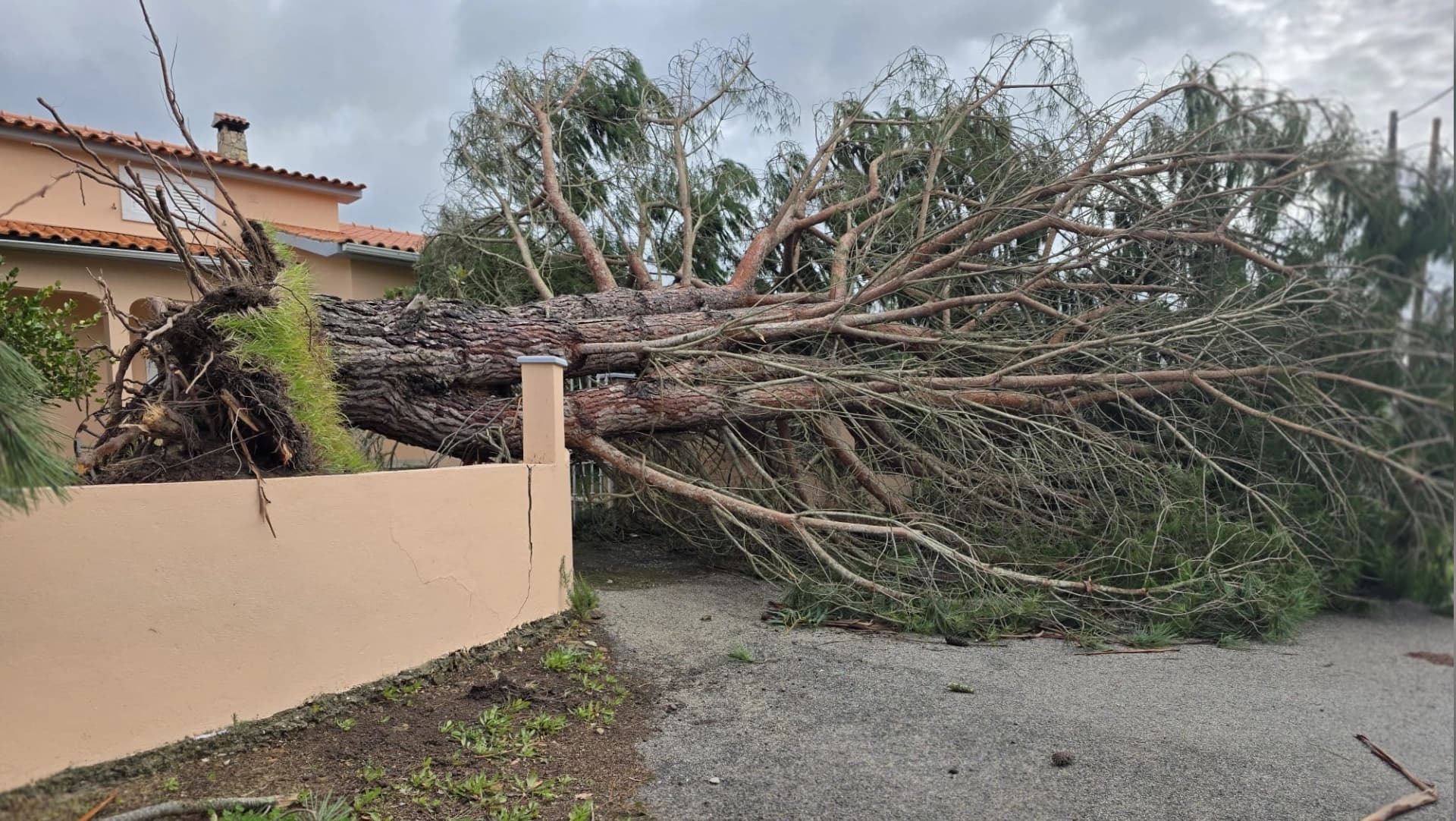 Estragos da Depressão Kristin em Vila de Rei @CM Vila de Rei