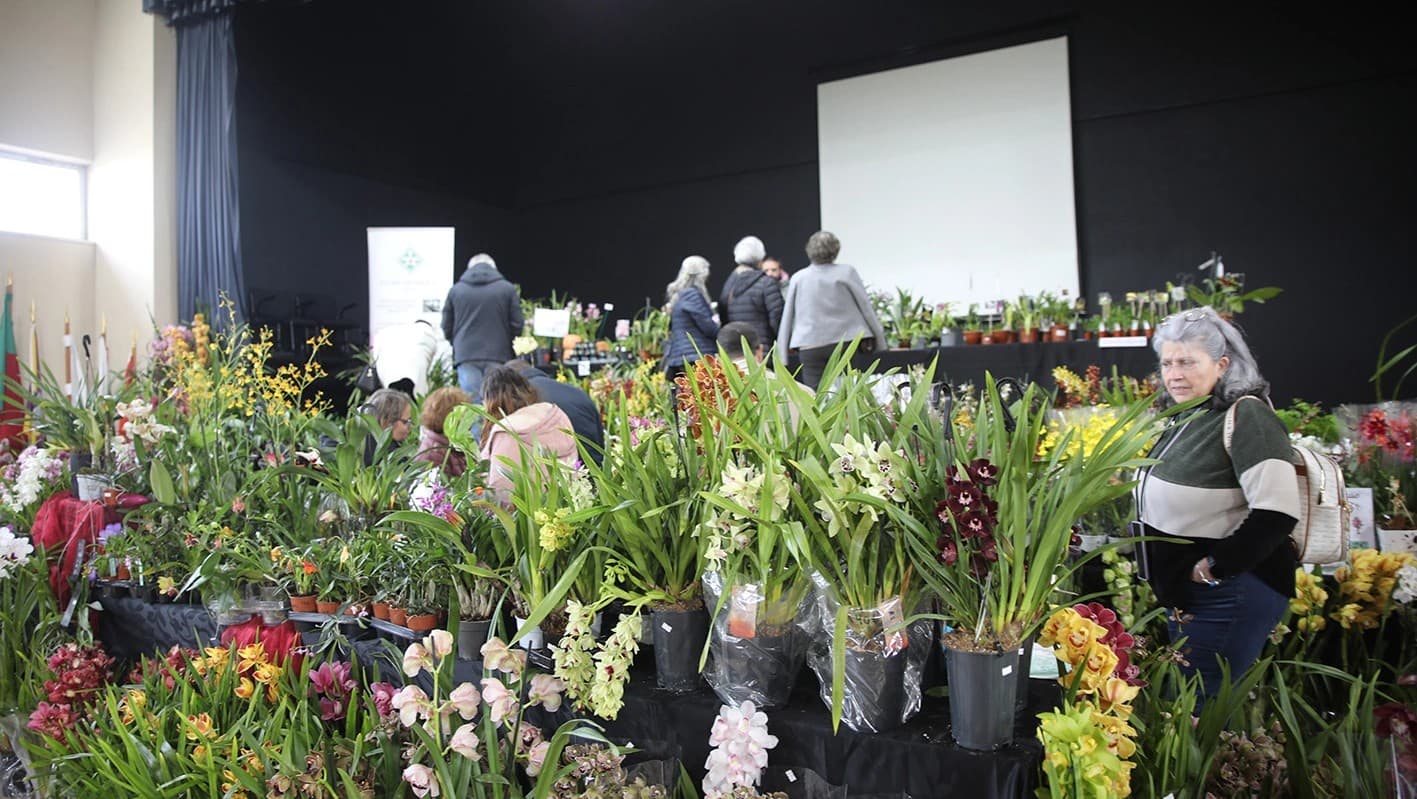 7.ª Exposição de Orquídeas @CM Cantanhede