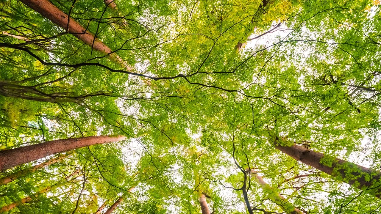 Imagem ilustrativa @freepik