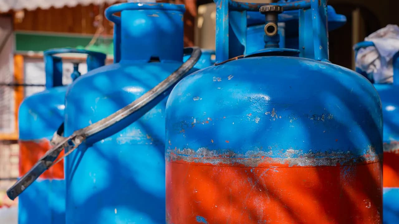 Imagem ilustrativa @freepik