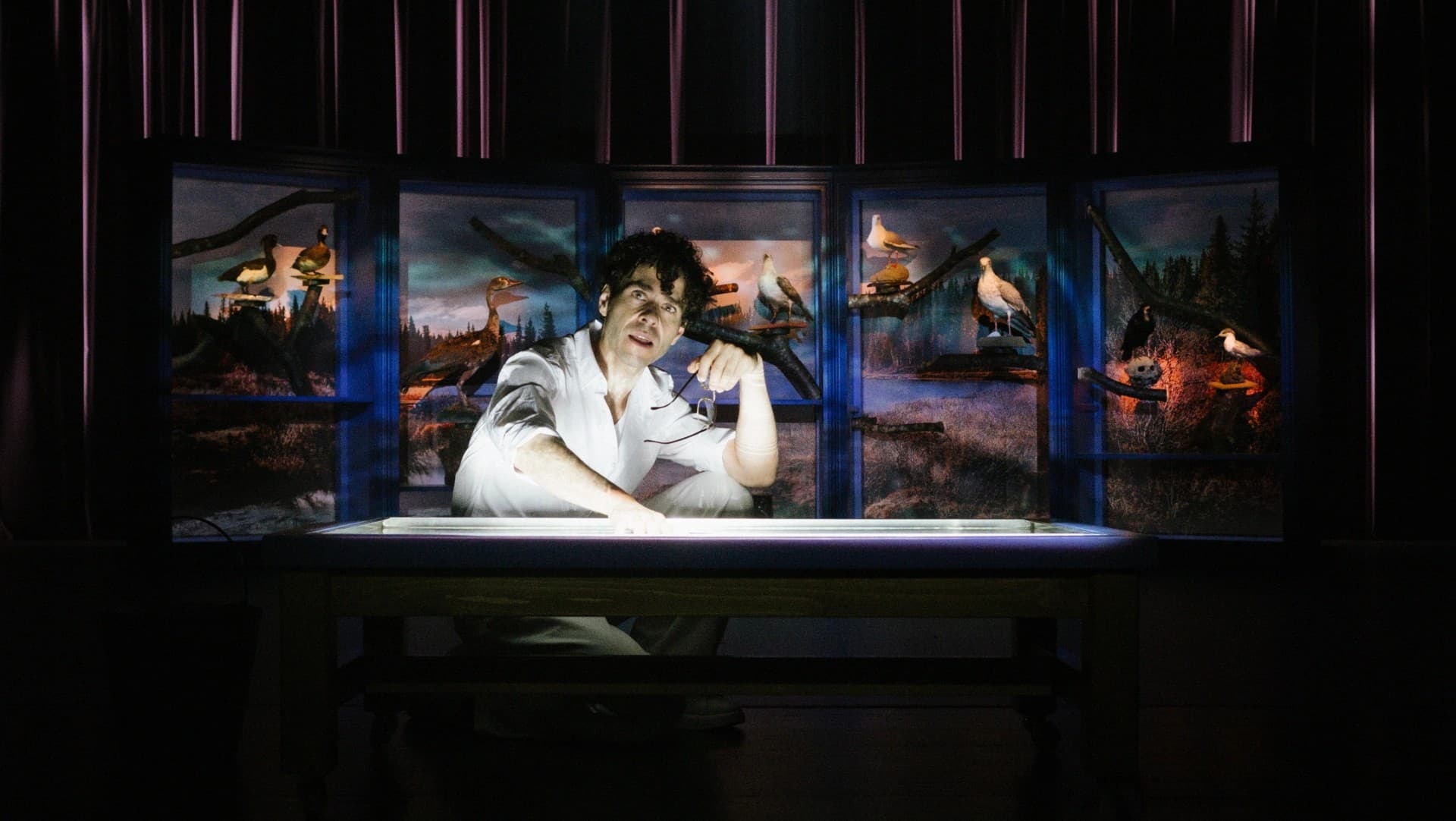 “Só Mais Uma Gaivota” @Sofia Bernardo