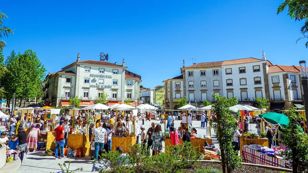 Mercadinho Sustentável @Câmara Municipal de S. João da Madeira