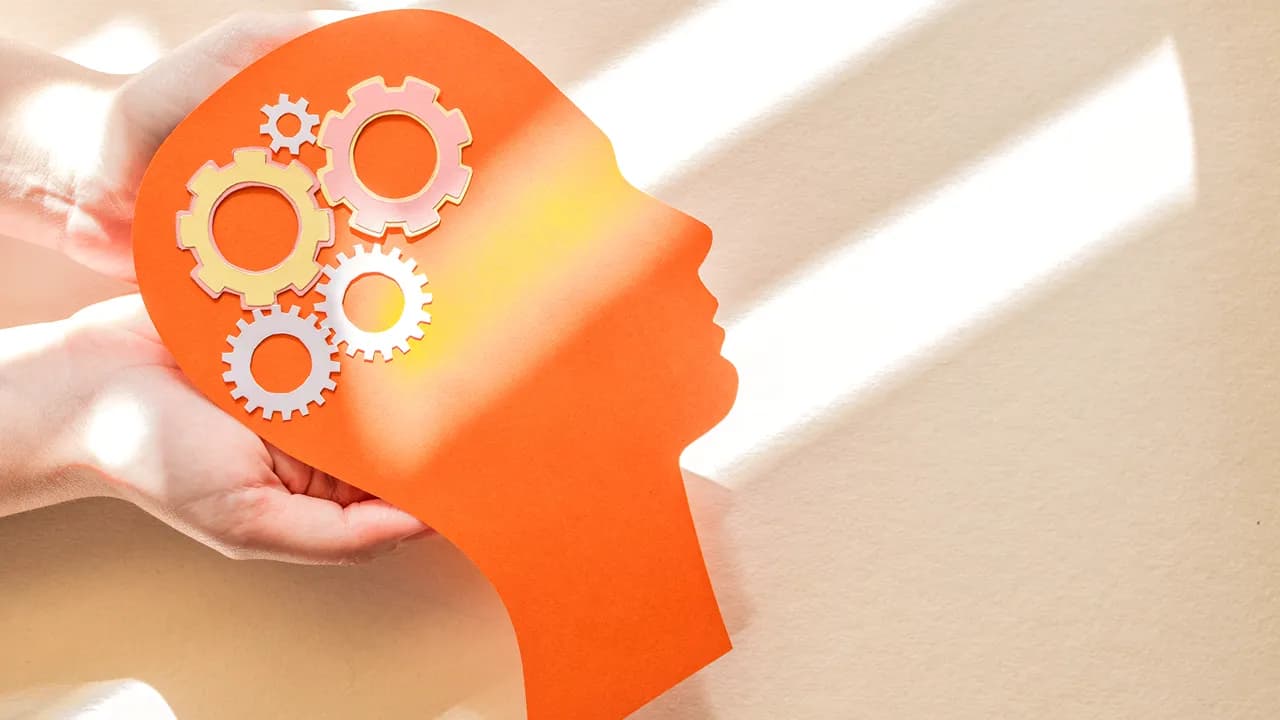 Imagem ilustrativa @freepik