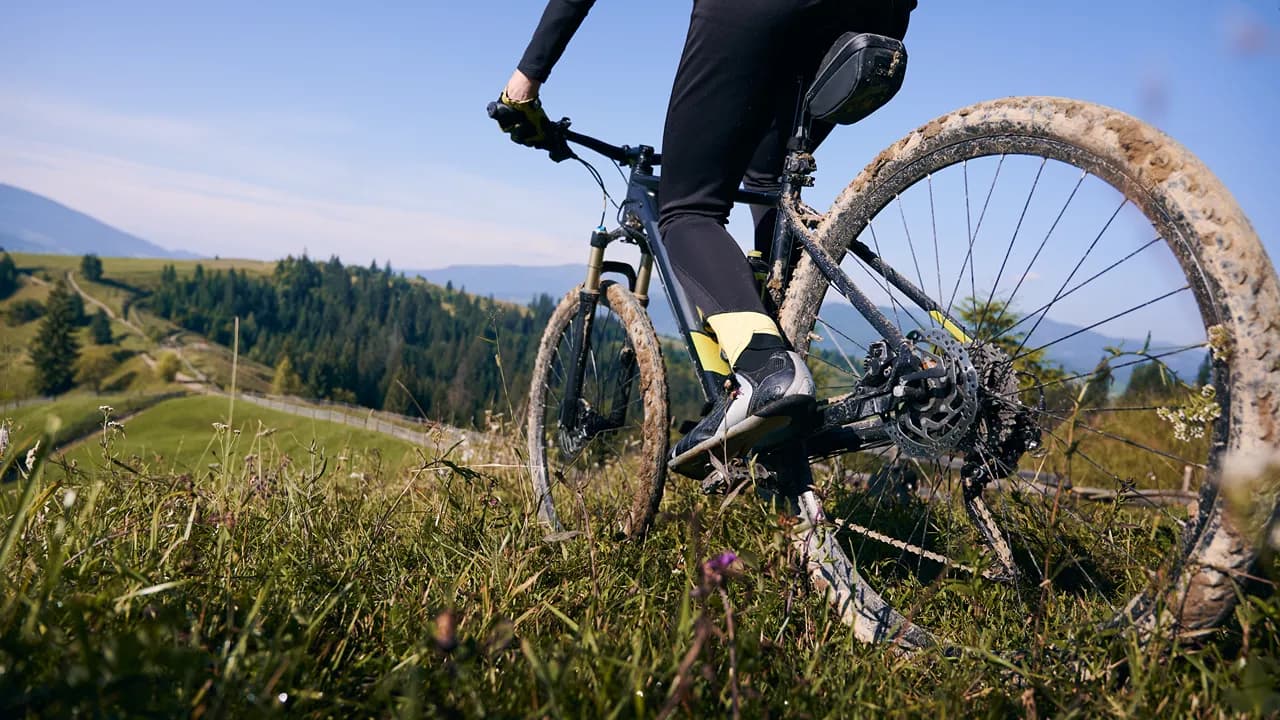 Imagem ilustrativa @freepik